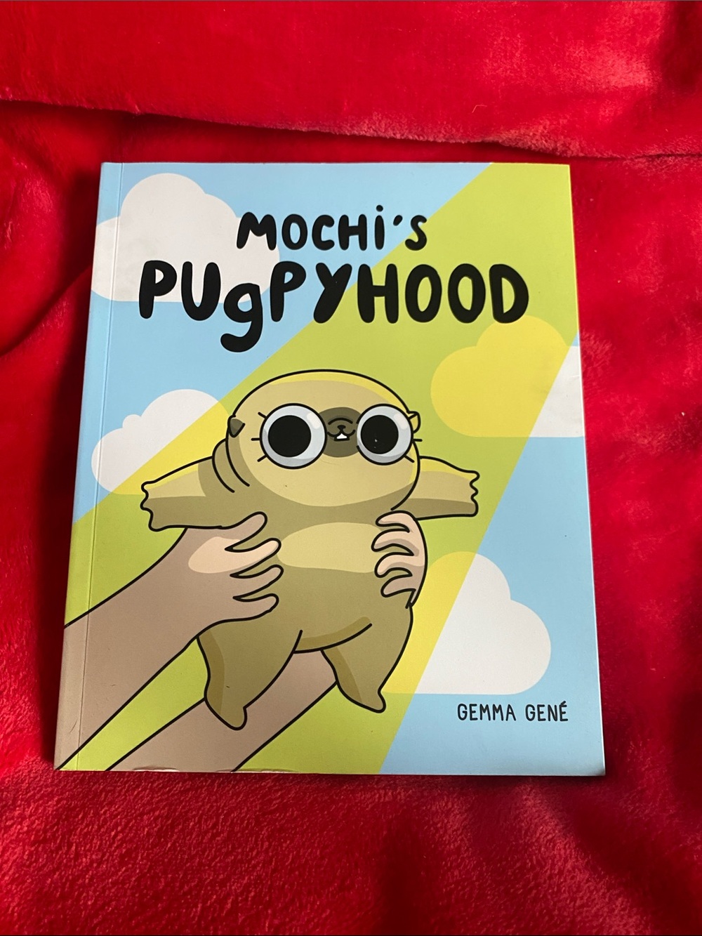 😎6/$50😎 Mochi's Pugpyhood Illustrated Book - Green & Blue Cover
